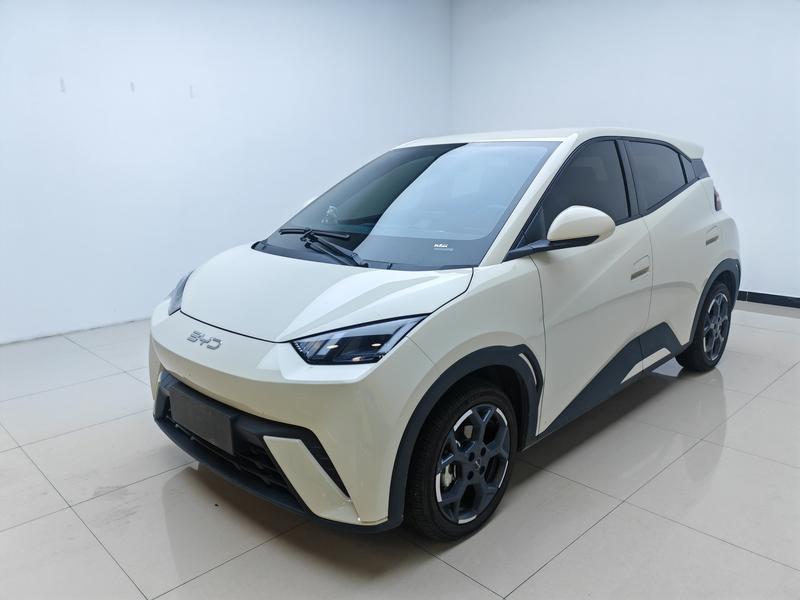BYD Seagull, 2024 — купить в Белгороде под ключ