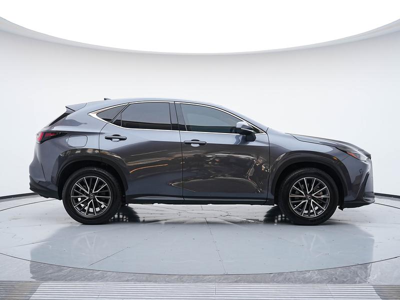 Lexus NX Hybrid, 2023 — фото 8 из 12