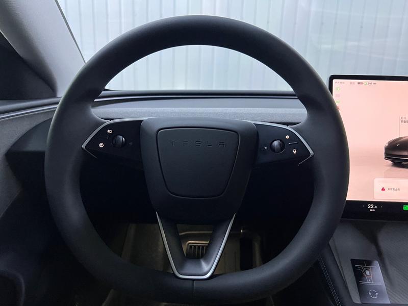 Tesla Model 3, 2026 — фото 9 из 12