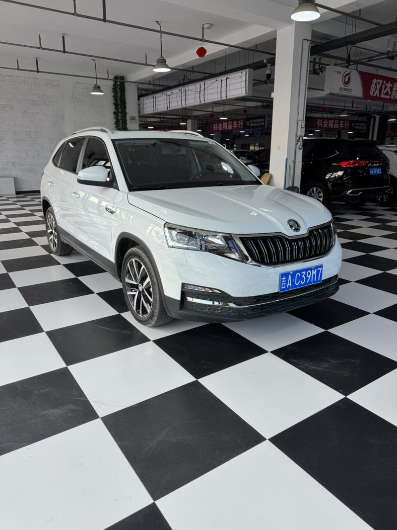 Skoda Kamiq, 2023 — фото 2 из 12
