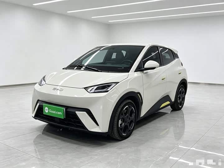 BYD Seagull, 2024 — купить в Оренбурге под ключ