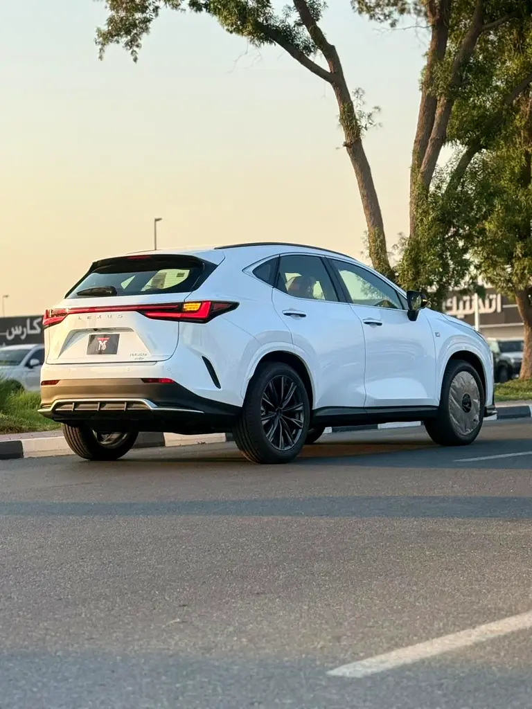 Lexus NX-Series, 2026 — фото 3 из 10