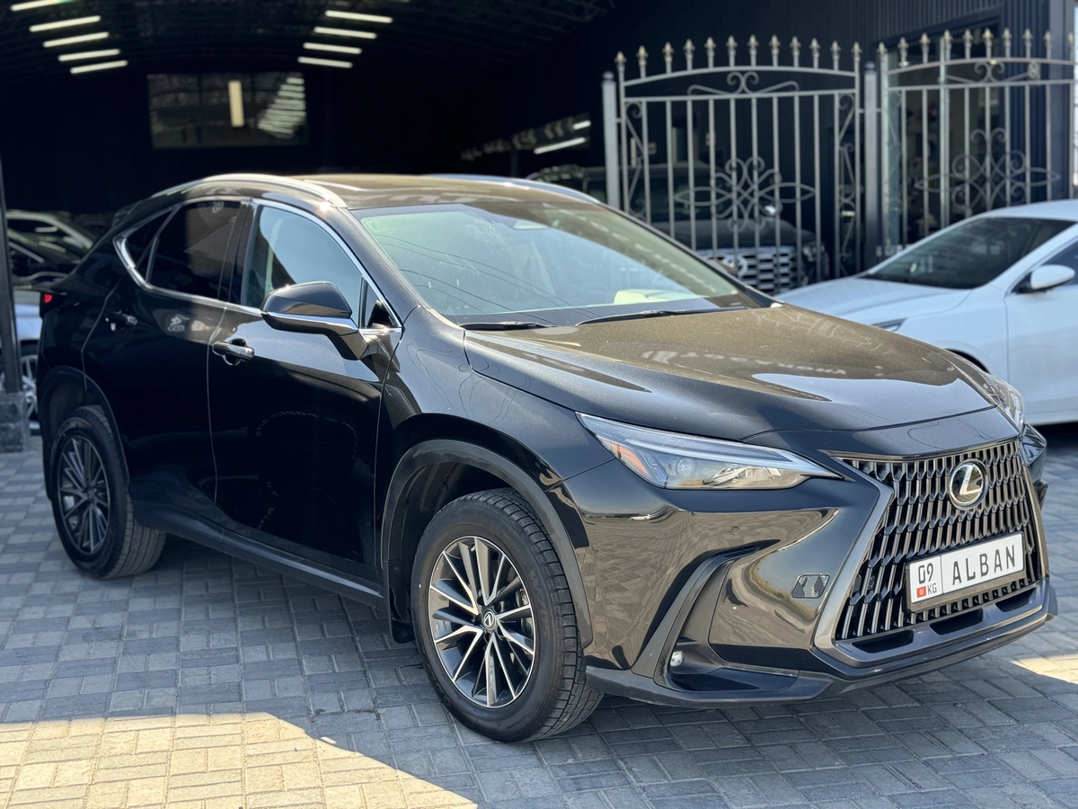 Lexus NX, 2023