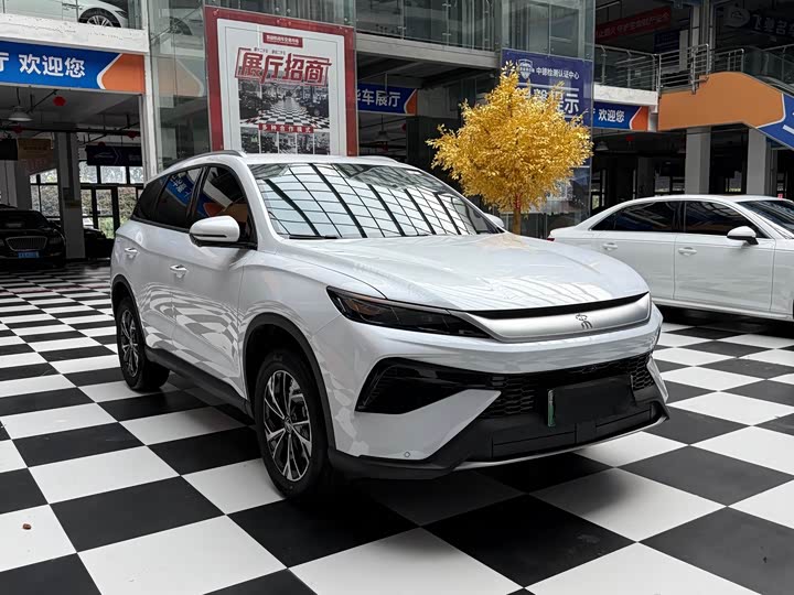 BYD Song Pro Hybrid, 2025 — фото 3 из 9