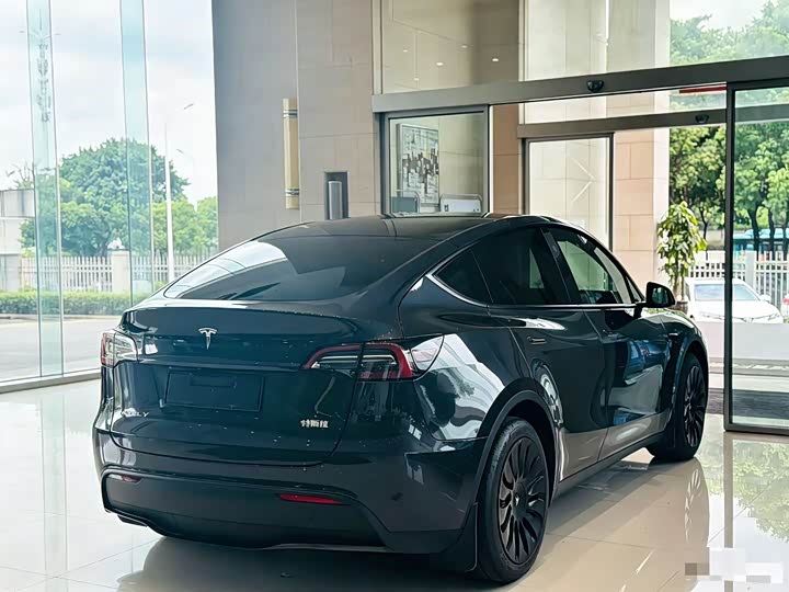 Tesla Model Y, 2024 — фото 9 из 9