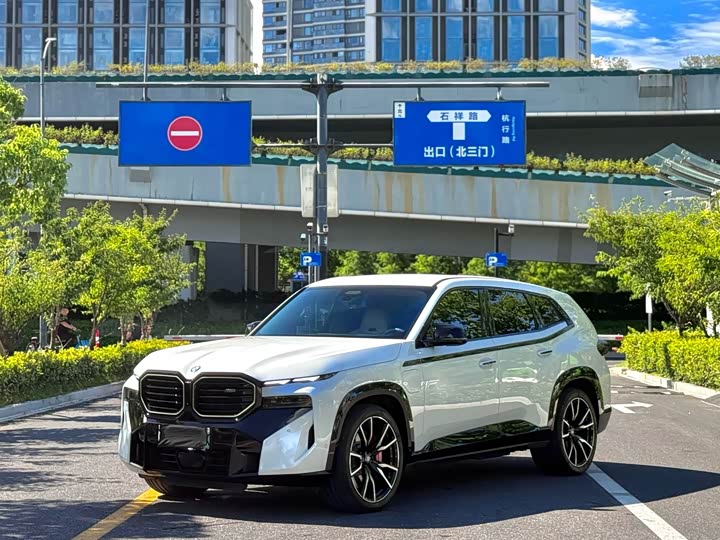 BMW XM, 2025 — фото 3 из 9