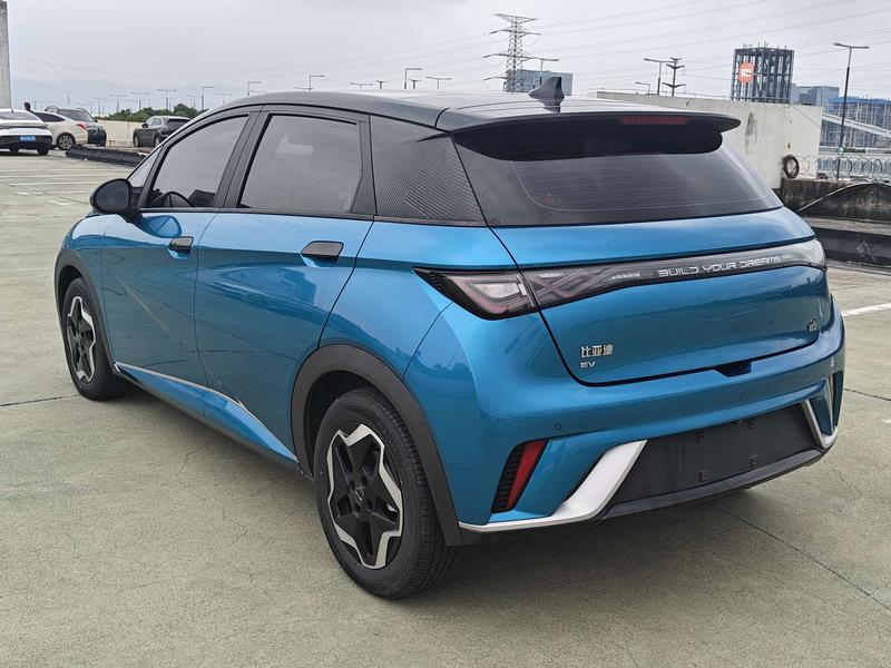 BYD Dolphin, 2022 — фото 4 из 11
