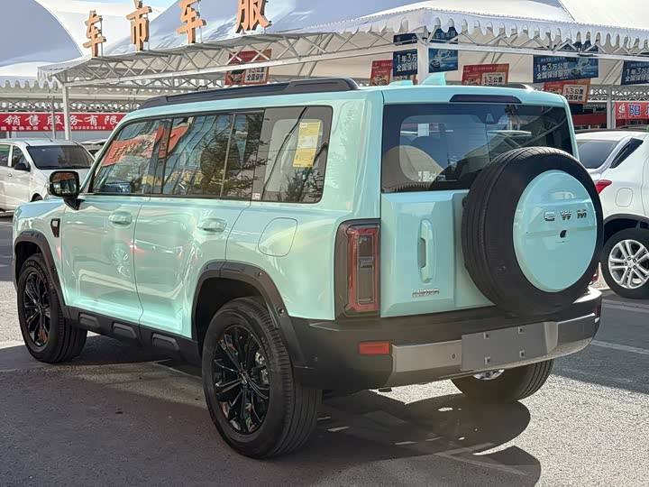 Haval Raptor Hybrid, 2025 — фото 9 из 9