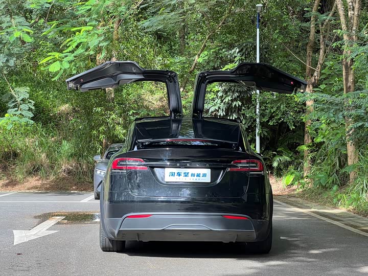 Tesla Model X, 2023 — фото 5 из 9