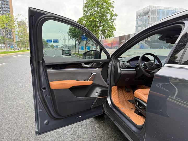 BYD Tang Hybrid/EV, 2023 — фото 6 из 9