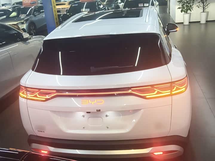 BYD Song L DM-i Hybrid, 2024 — фото 6 из 9