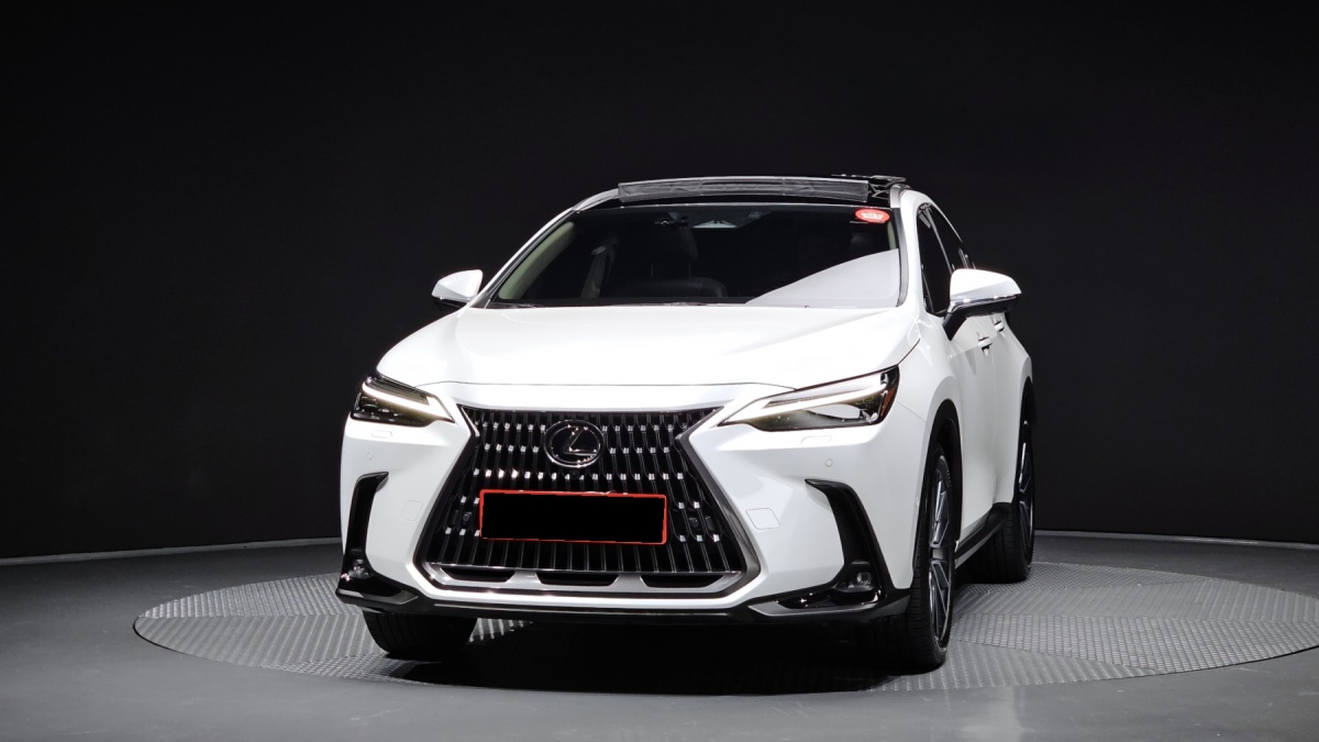 Lexus NX, 2024 — фото 3 из 12