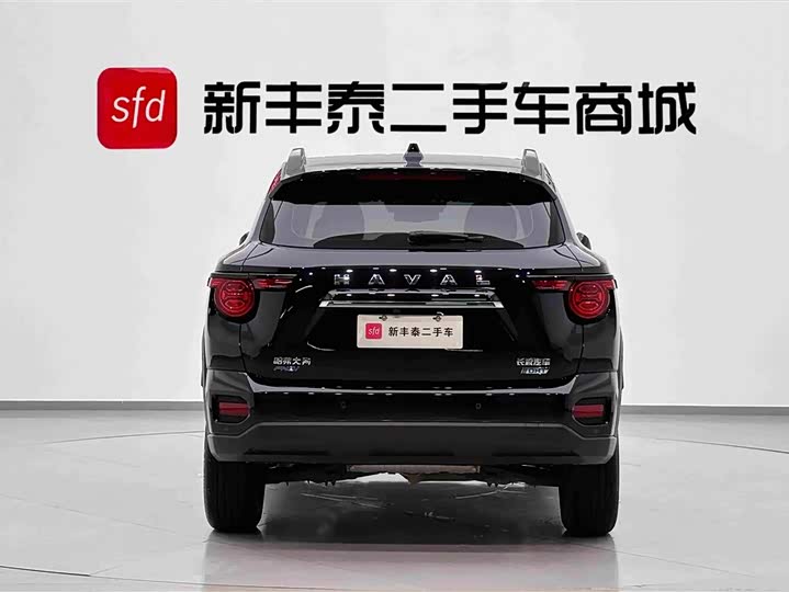 Haval H-Dog Hybrid, 2023 — фото 7 из 9
