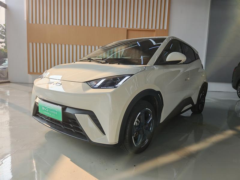 BYD Seagull, 2023 — купить в Туле под ключ