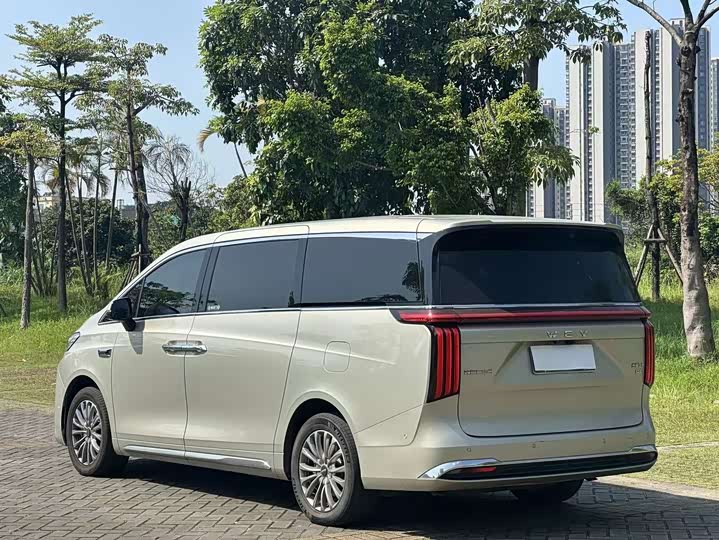 Wey 80 Hybrid, 2024 — фото 9 из 9