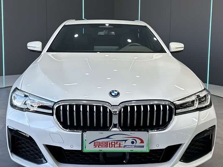 BMW 5 Series Hybrid, 2022 — фото 2 из 9