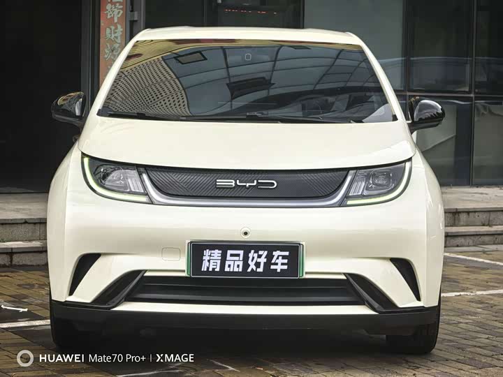 BYD Dolphin, 2023 — фото 2 из 9