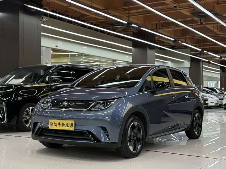 BYD Dolphin, 2025 — купить в Костроме под ключ