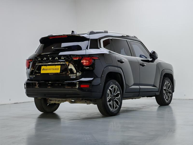 Haval H-Dog Hybrid, 2023 — фото 7 из 12