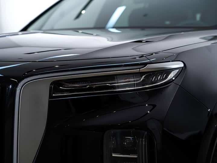 Hongqi E-HS9, 2023 — фото 8 из 9