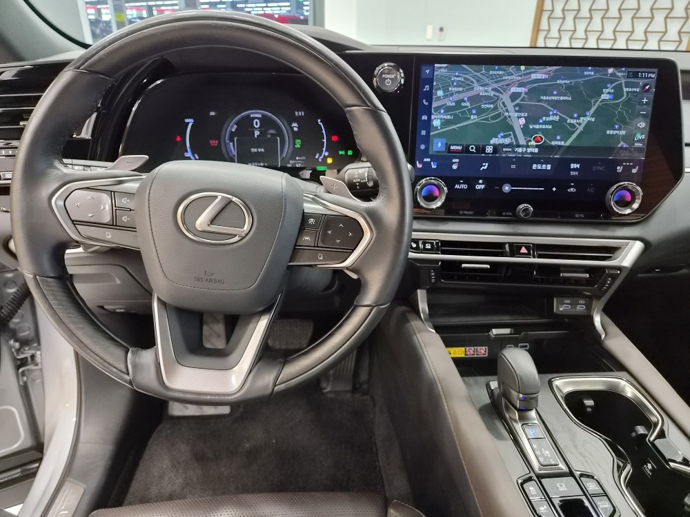 Lexus RX, 2023 — фото 12 из 12