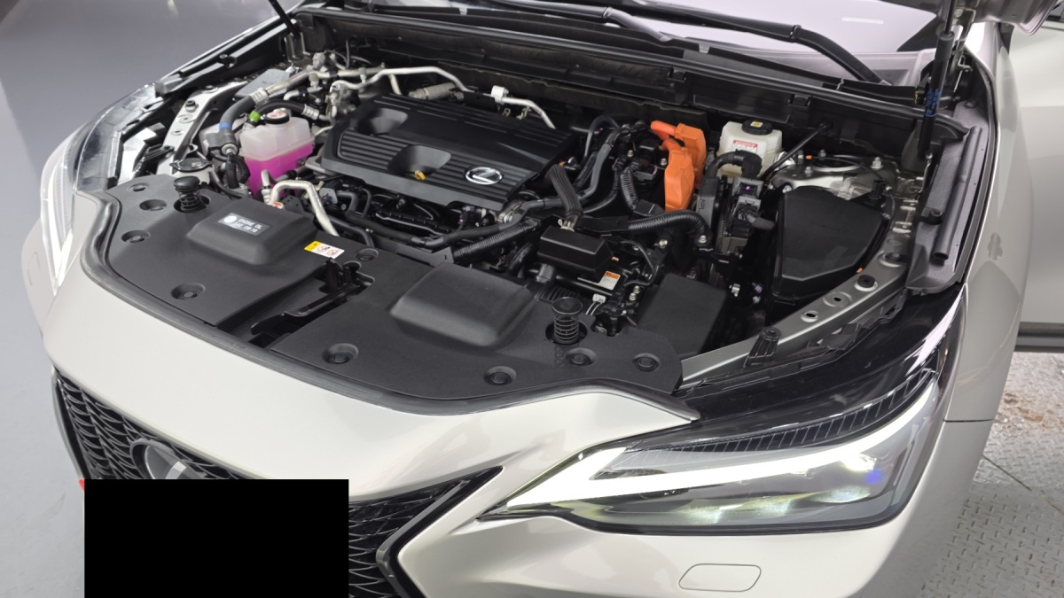 Lexus NX, 2024 — фото 6 из 12