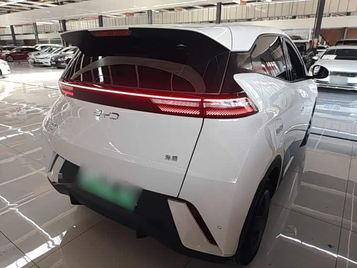 BYD Seagull, 2024 — фото 7 из 9