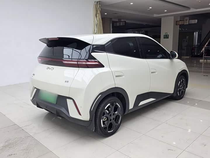 BYD Seagull, 2024 — фото 7 из 9