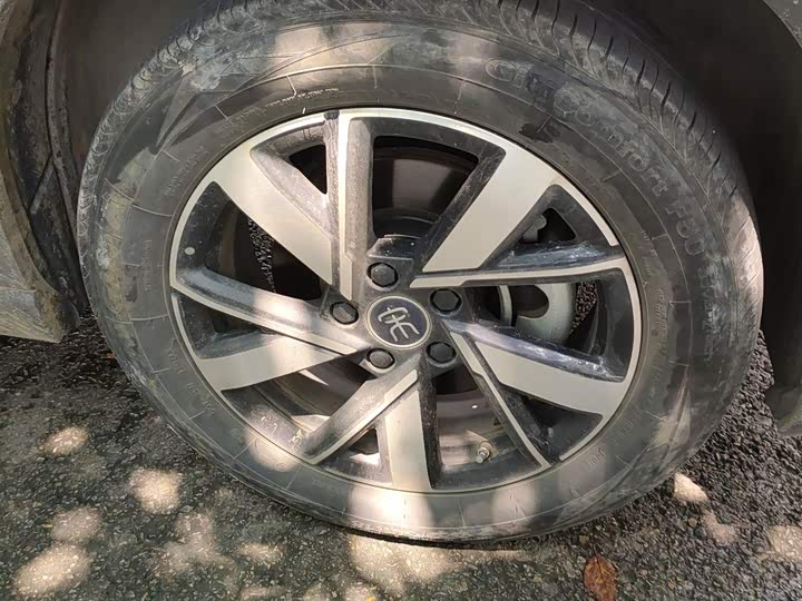 BYD Song Pro Hybrid, 2024 — фото 8 из 9