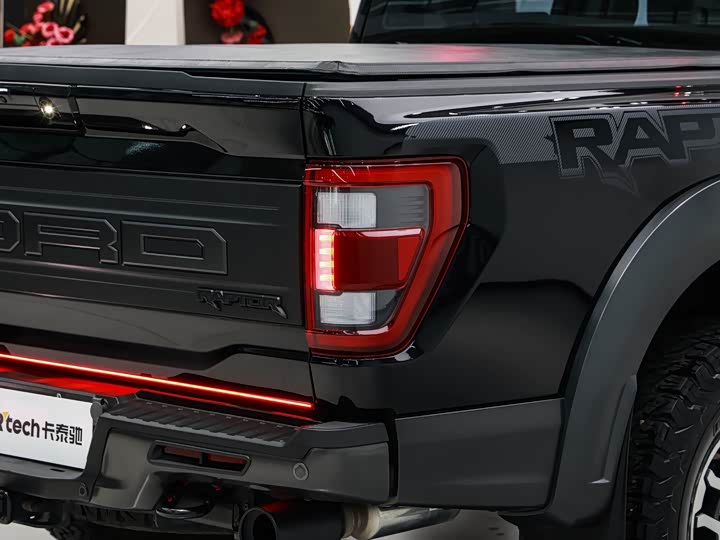 Ford F-150 Raptor, 2023 — фото 9 из 9