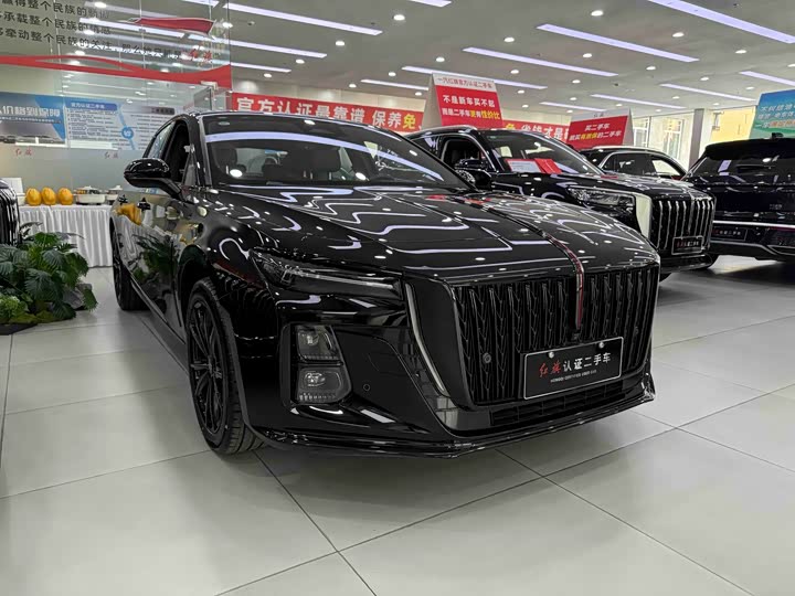 Hongqi H5, 2024 — фото 3 из 9