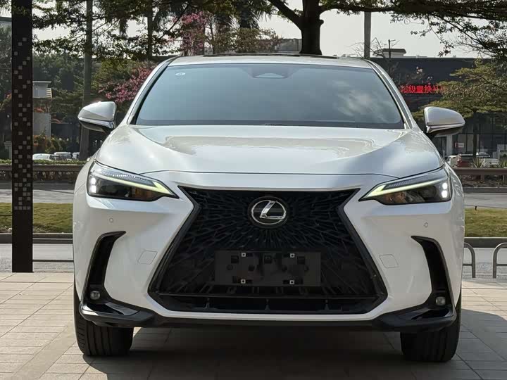 Lexus NX, 2021 — фото 2 из 9