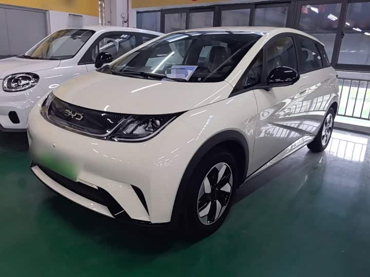 BYD Dolphin, 2026 — купить в Тольятти под ключ
