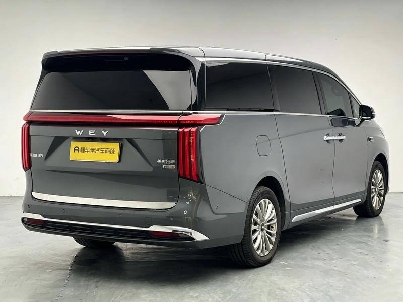 Wey 80 Hybrid, 2025 — фото 7 из 12