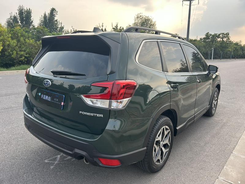 Subaru Forester, 2022 — фото 7 из 12
