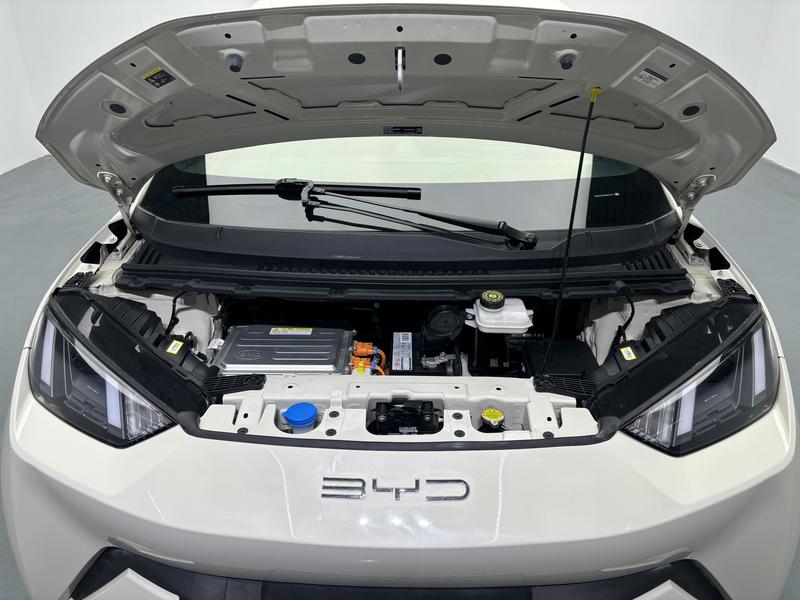 BYD Seagull, 2023 — фото 12 из 12