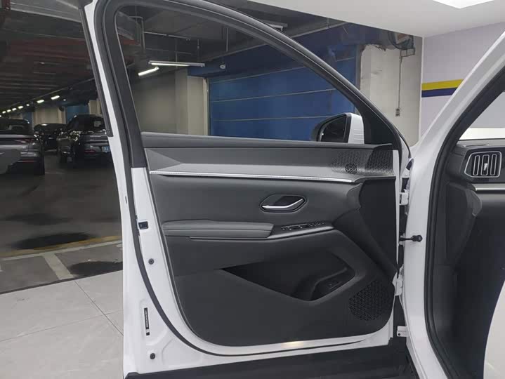 BYD Song Pro Hybrid, 2026 — фото 7 из 9