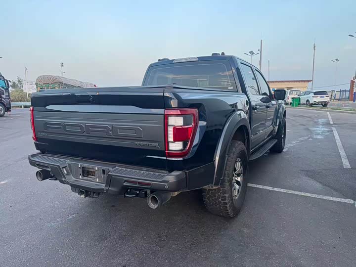 Ford F-150 Raptor, 2023 — фото 4 из 9
