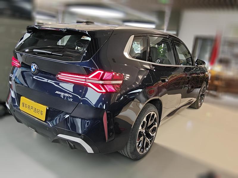 BMW X3, 2025 — фото 2 из 12