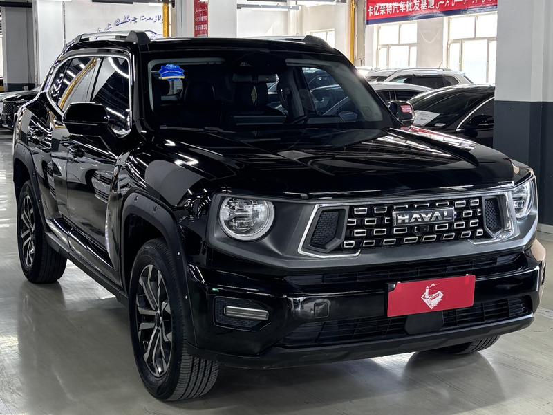 Haval H-Dog, 2023 — фото 3 из 12