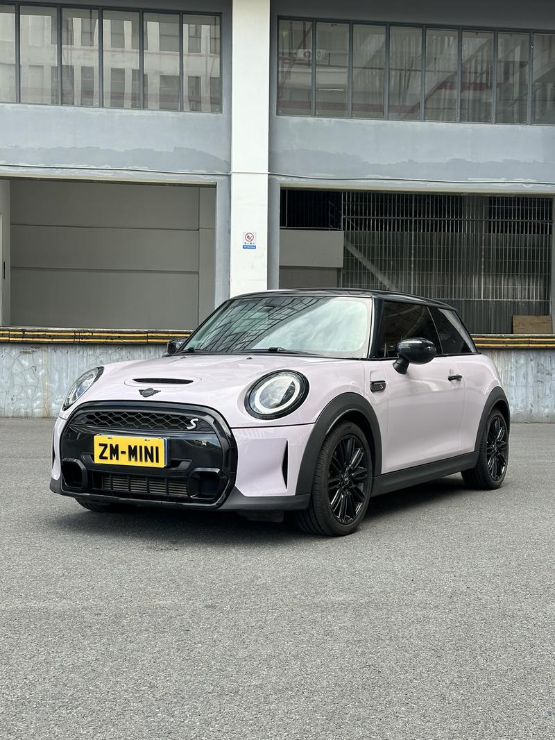 Mini Mini, 2022 — купить в Нижнем Новгороде под ключ