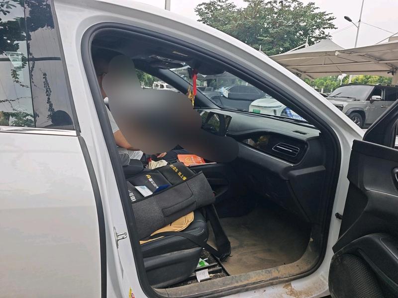 BYD Seal 06 Hybrid/EV, 2025 — фото 11 из 12