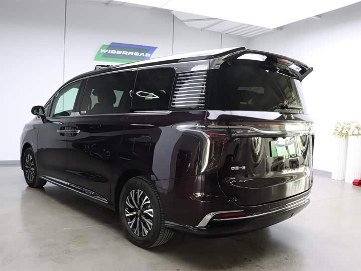 Hongqi HQ9 Hybrid, 2024 — фото 6 из 9