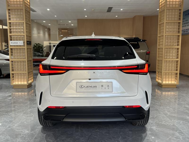 Lexus NX Hybrid, 2021 — фото 5 из 12