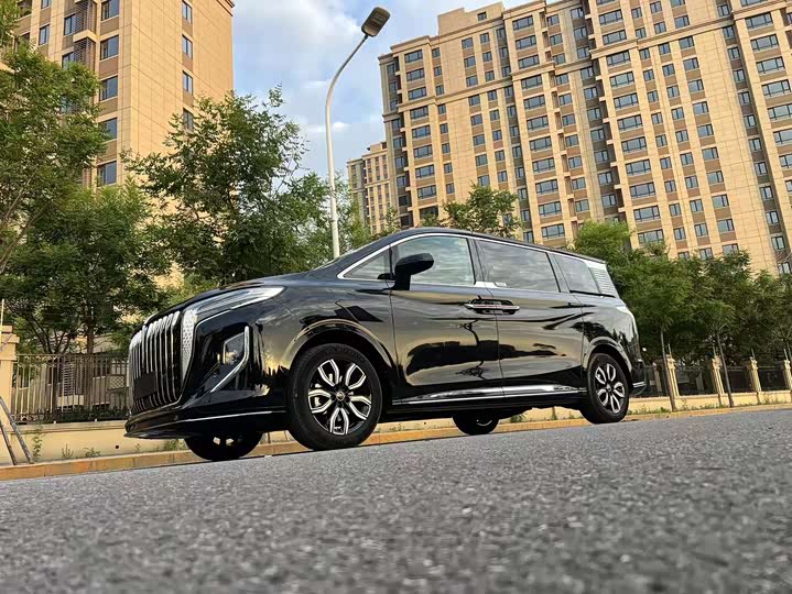 Hongqi HQ9 Hybrid, 2025 — фото 4 из 9