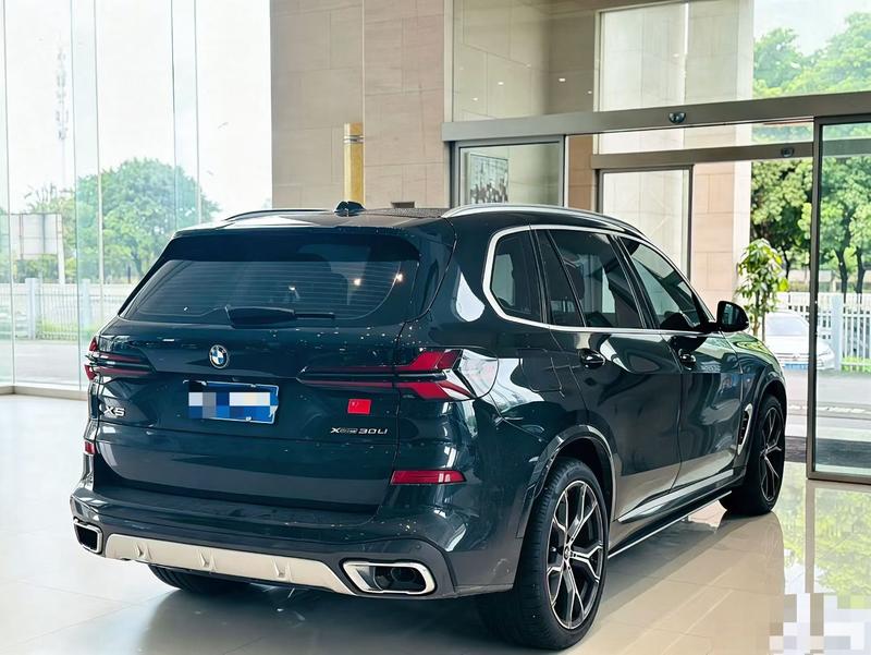 BMW X5, 2024 — фото 6 из 9
