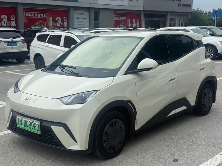 BYD Seagull, 2024 — купить в Чебоксарах под ключ