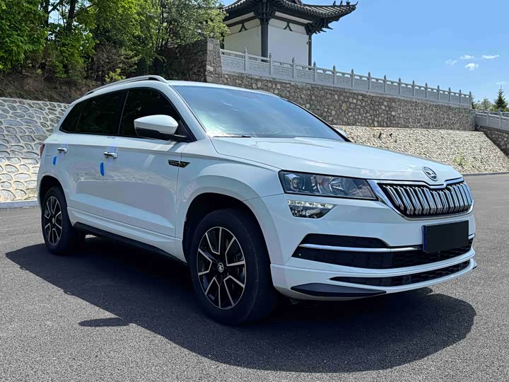 Skoda Karoq, 2023 — фото 3 из 9