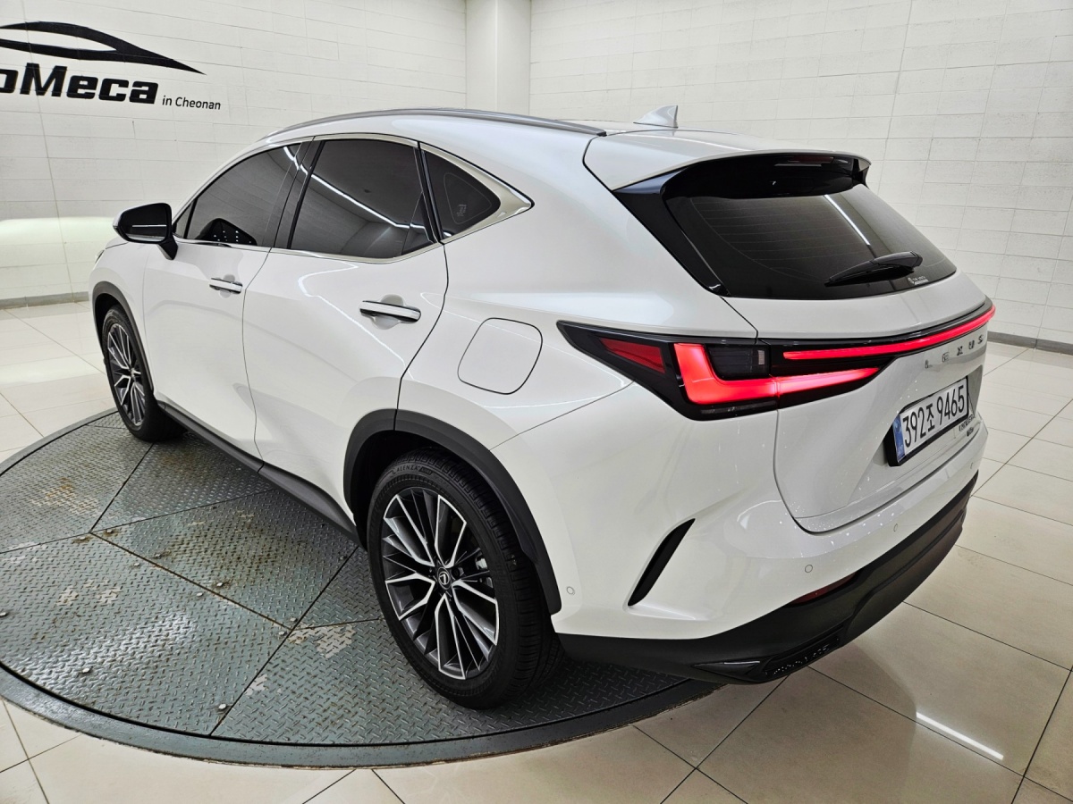 Lexus NX, 2025 — фото 4 из 12