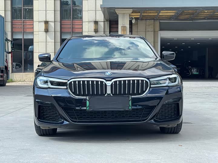 BMW 5 Series Hybrid, 2023 — фото 2 из 9